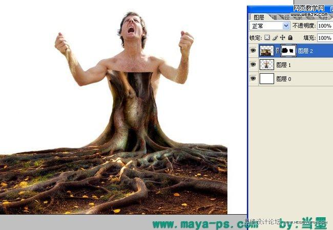 Photoshop相片合成教程:吓人的树妖_WEBJX.COM