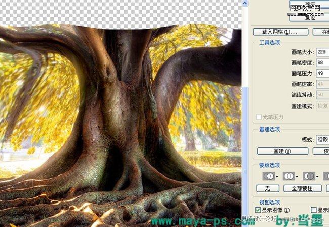 Photoshop相片合成教程:吓人的树妖_WEBJX.COM
