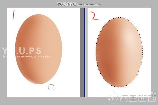 Photoshop模仿达芬奇练习画鸡蛋